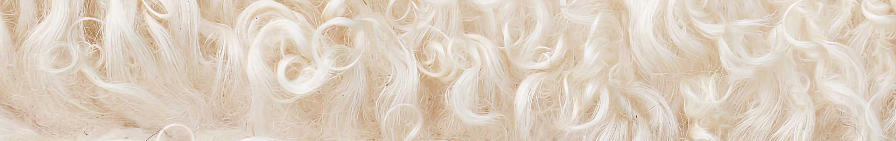 atelier trageser islandwolle