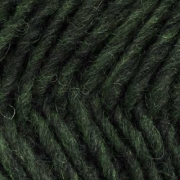 Àlafosslopi – 1231 <span>tannengrün</span>