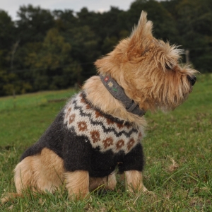 Jettes Pulli <span>ab 90,00 Euro</span>