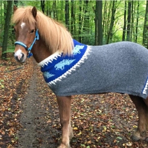 Lavadancer, Icebreaker <span>340,00 Euro</span>