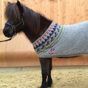 Islandfan <span>340,00 Euro</span>