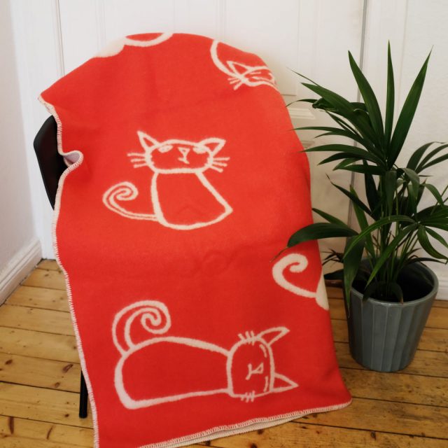 Katzen <span>108,00 Euro</span>