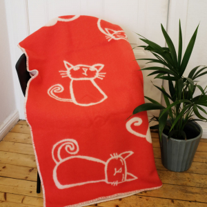 Katzen <span>108,00 Euro</span>