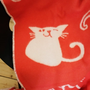 Katzen <span>108,00 Euro</span>