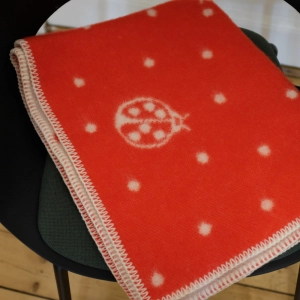 Marienkäfer <span>32,00 Euro</span>