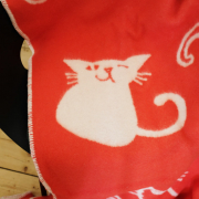 Katzen <span>108,00 Euro</span>