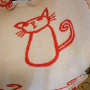 Katzen <span>108,00 Euro</span>