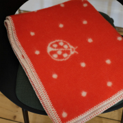 Marienkäfer <span>32,00 Euro</span>